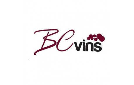 BC VINS